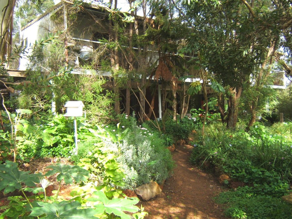 Whispering Pines Bed And Breakfast Collie 외부 사진