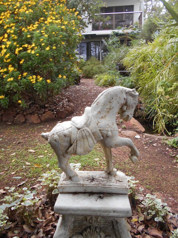 Whispering Pines Bed And Breakfast Collie 외부 사진